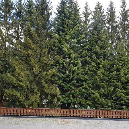 Apartmány Kamzík Donovaly Exterior foto